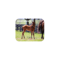 Load image into Gallery viewer, Seize the Grey X Community Adjusted '26 - Rectangular Magnet
