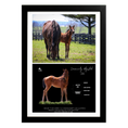 Load image into Gallery viewer, Seize the Grey X Community Adjusted '26 - Collage Frame
