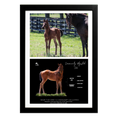 Load image into Gallery viewer, Seize the Grey X Community Adjusted '26 - Collage Frame
