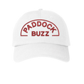 Load image into Gallery viewer, Paddock Buzz - Under Armour Relaxed Cap
