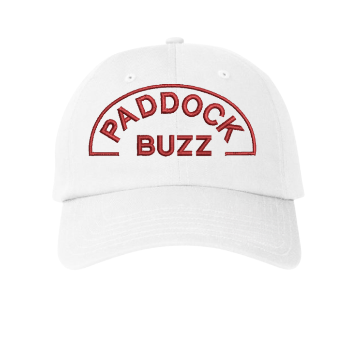Paddock Buzz - Under Armour Relaxed Cap