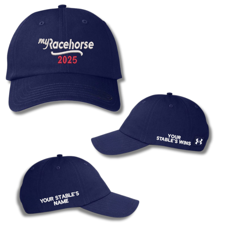 MRH Custom 2025 Winner's - Under Armour Relaxed Cap