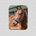 Load image into Gallery viewer, Hedge Ratio - Rectangular Magnet
