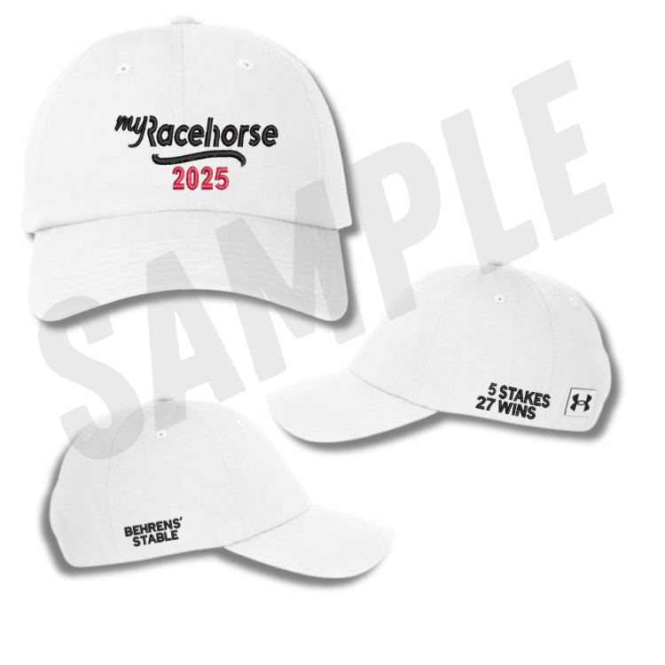 MRH Custom 2025 Winner's - Under Armour Relaxed Cap