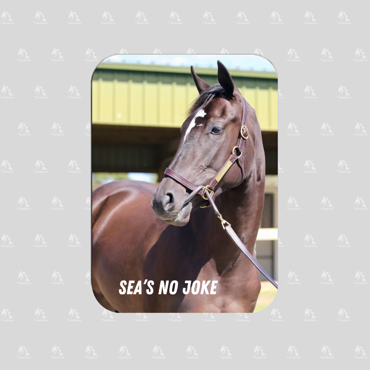Sea's No Joke - Rectangular Magnet