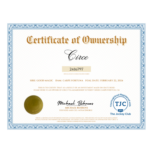 Circe Certificate of Ownership
