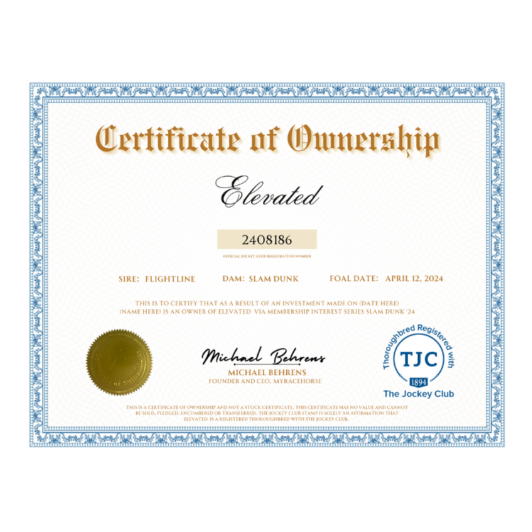 Elevated Certificate of Ownership