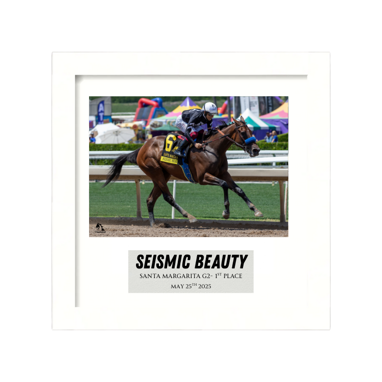 Seismic Beauty - Santa Margarita G2 Photo Frame