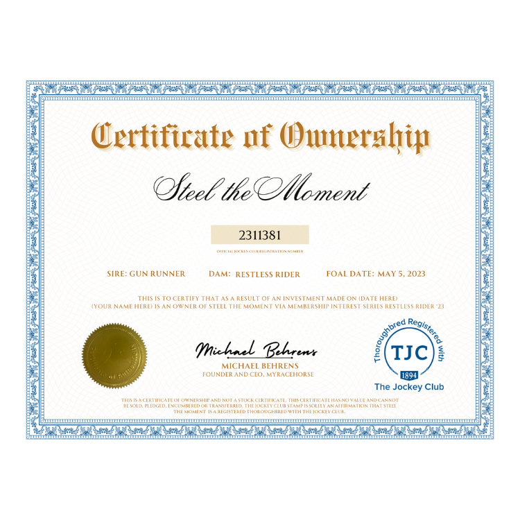 Steel the Moment Certificate of Ownership