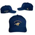 Load image into Gallery viewer, Authentic BC Classic Champion - Velocity Performance Hat
