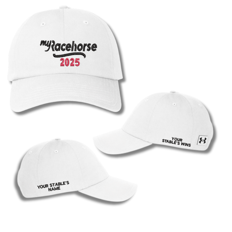 MRH Custom 2025 Winner's - Under Armour Relaxed Cap