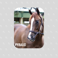 Load image into Gallery viewer, Pyralis - Rectangular Magnet
