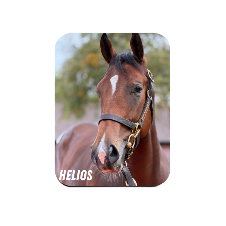 Helios - Rectangular Magnet
