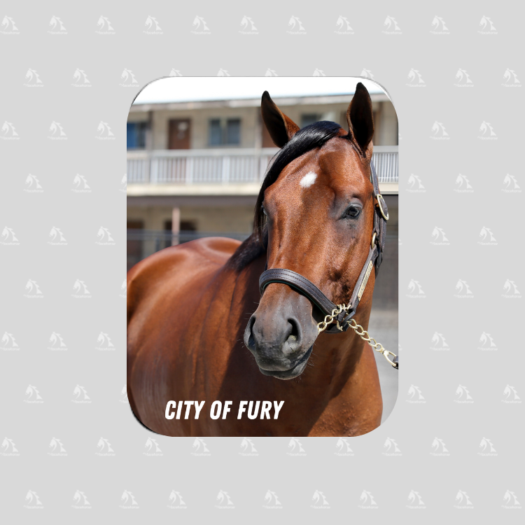 City of Fury Rectangular Magnet