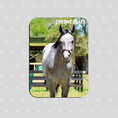 Load image into Gallery viewer, Chrome Heart Rectangular Magnet
