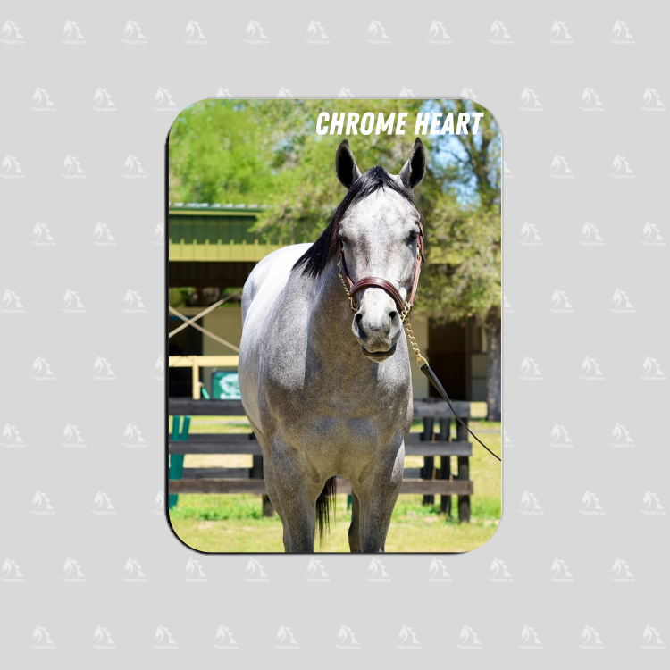 Chrome Heart Rectangular Magnet