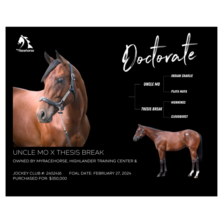 Doctorate Owner Photo