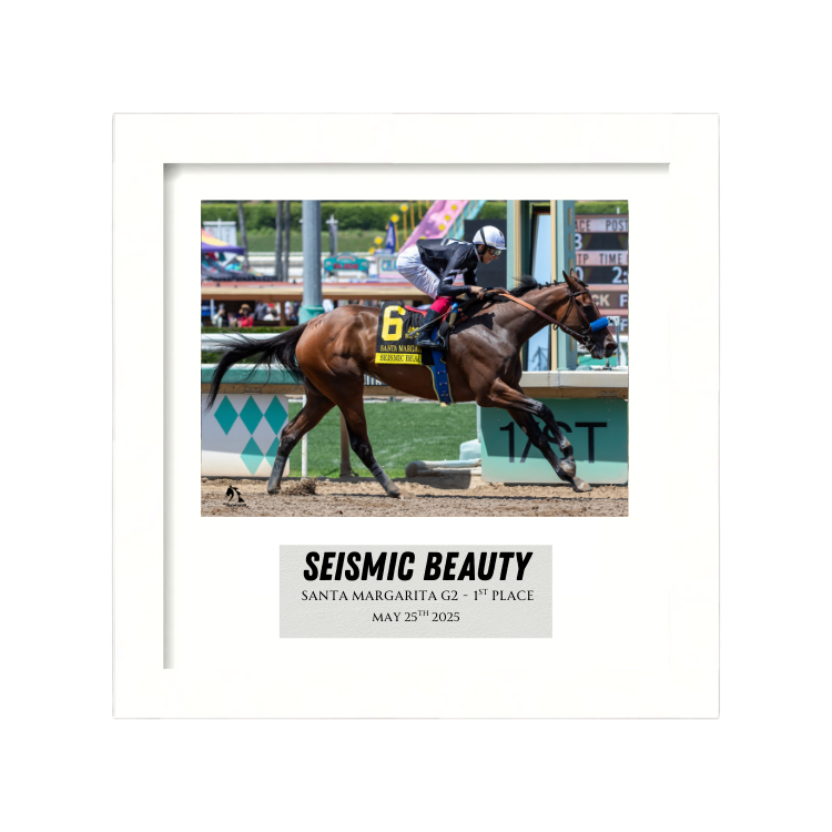 Seismic Beauty - Santa Margarita G2 Photo Frame