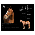 Load image into Gallery viewer, Woodburn Owner Photo
