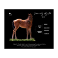 Load image into Gallery viewer, Seize the Grey X Community Adjusted '26 - Breeder's Photo
