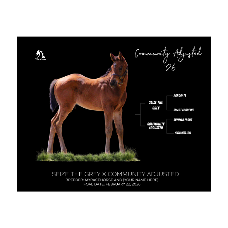 Seize the Grey X Community Adjusted '26 - Breeder's Photo