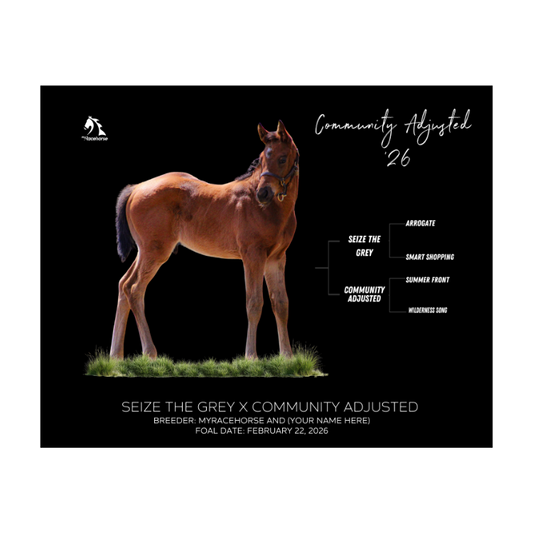 Seize the Grey X Community Adjusted '26 - Breeder's Photo