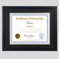 Load image into Gallery viewer, Pyralis Certificate of Ownership
