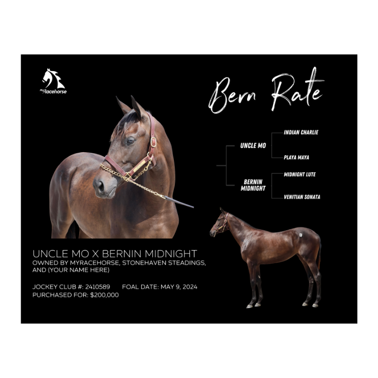 Bern Rate Owner Photo