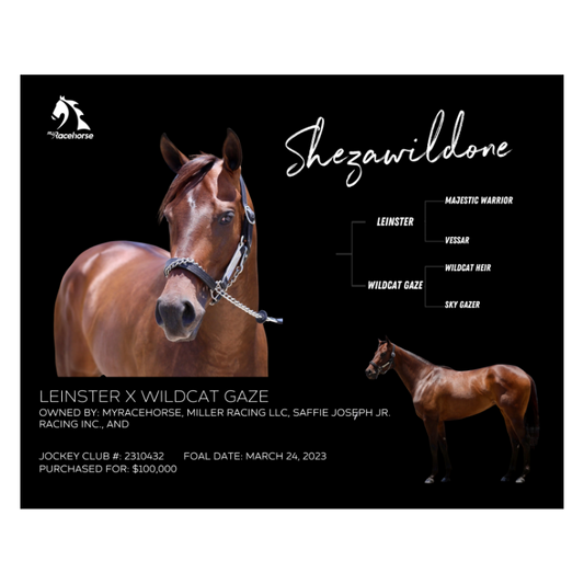 Shezawildone Owner Photo