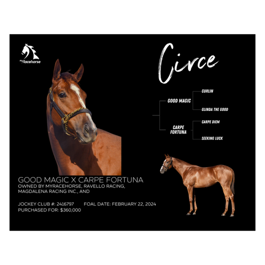 Circe Owner Photo