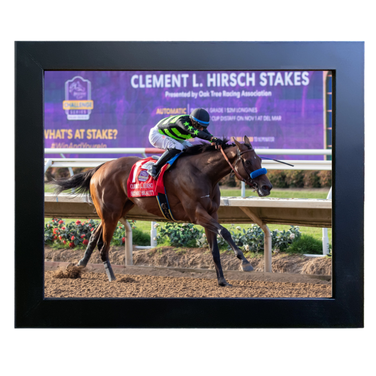 Seismic Beauty Win Photo #3 - Clement L. Hirsch -G1