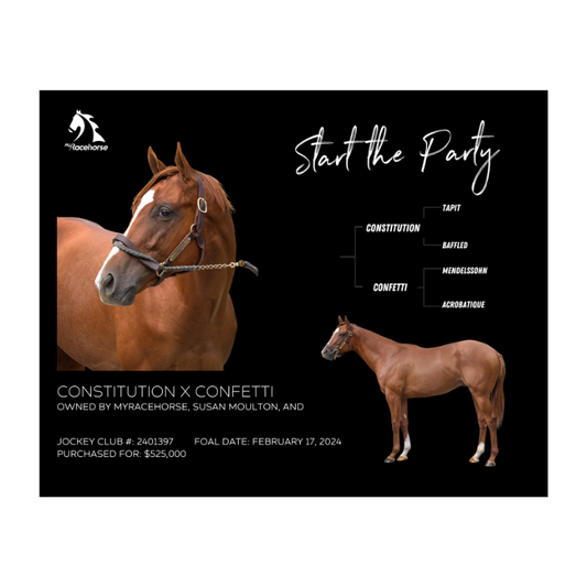 Start the Party Owner Photo