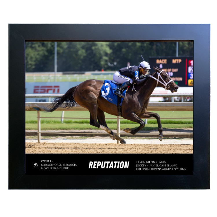 Reputation Custom Win Photo - Tyson Gilpin Stakes #2