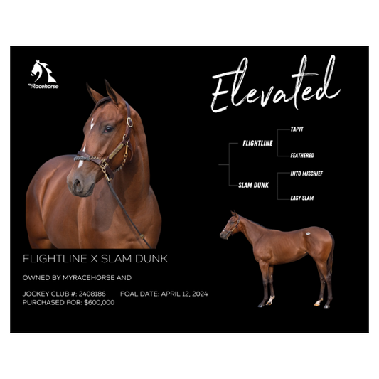 Elevated Owner Photo