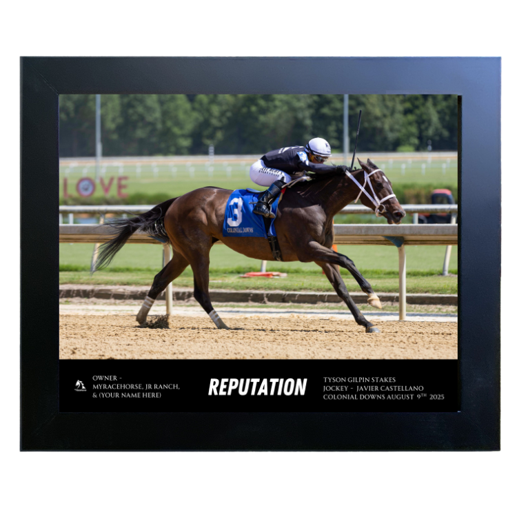 Reputation Custom Win Photo - Tyson Gilpin Stakes #1
