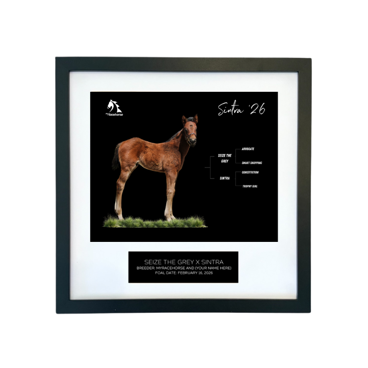 Seize the Grey X Sintra '26 - Breeder's Photo