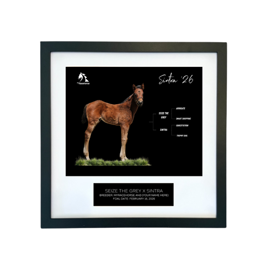 Seize the Grey X Sintra '26 - Breeder's Photo