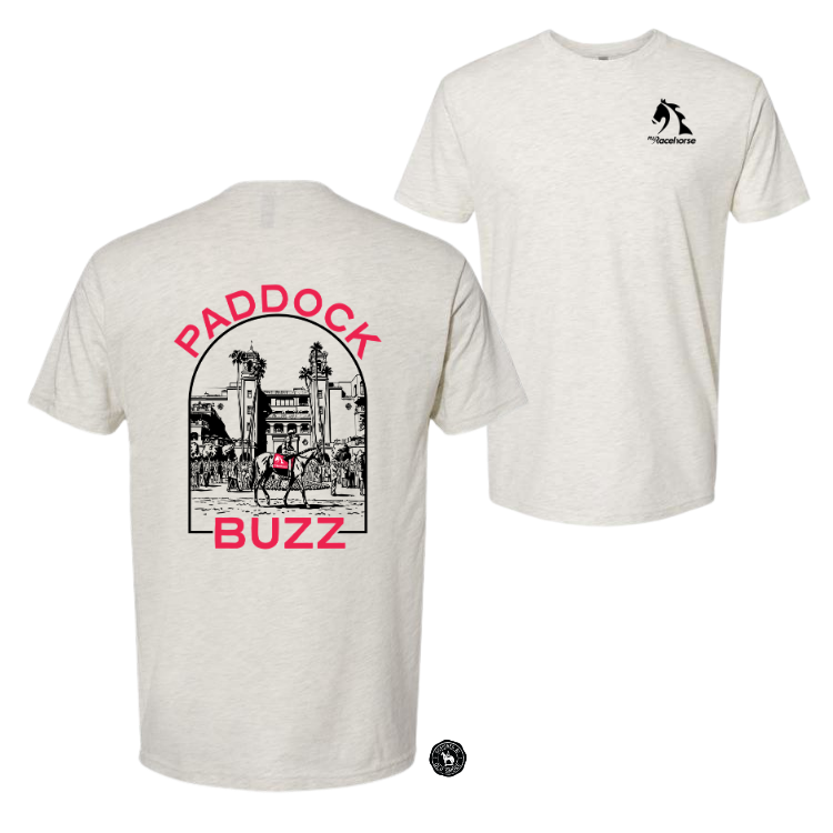 Paddock Buzz Men's SS T-Shirt