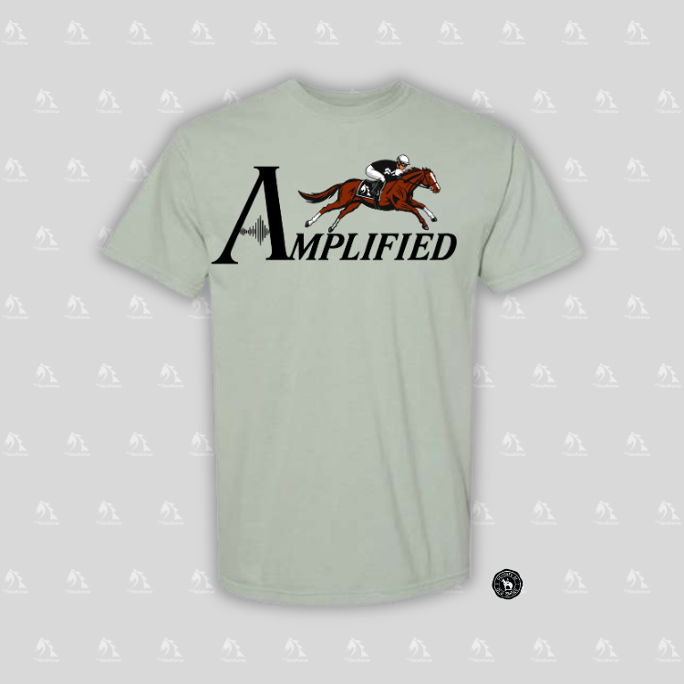 Amplified Unisex - Comfort Colors Heavy Weight T-Shirt