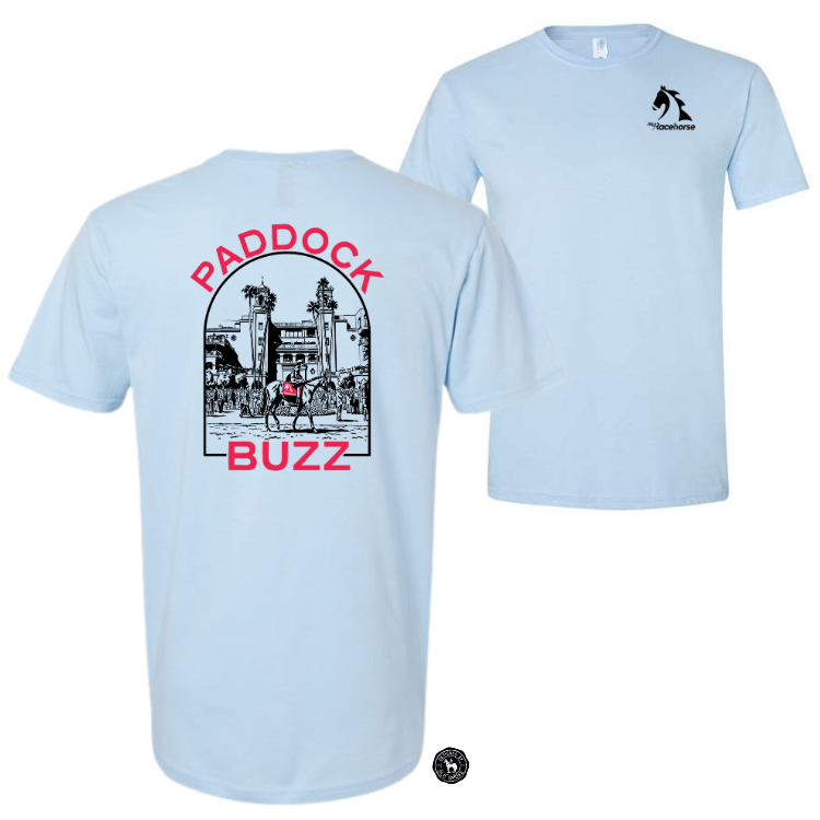 Paddock Buzz Men's SS T-Shirt