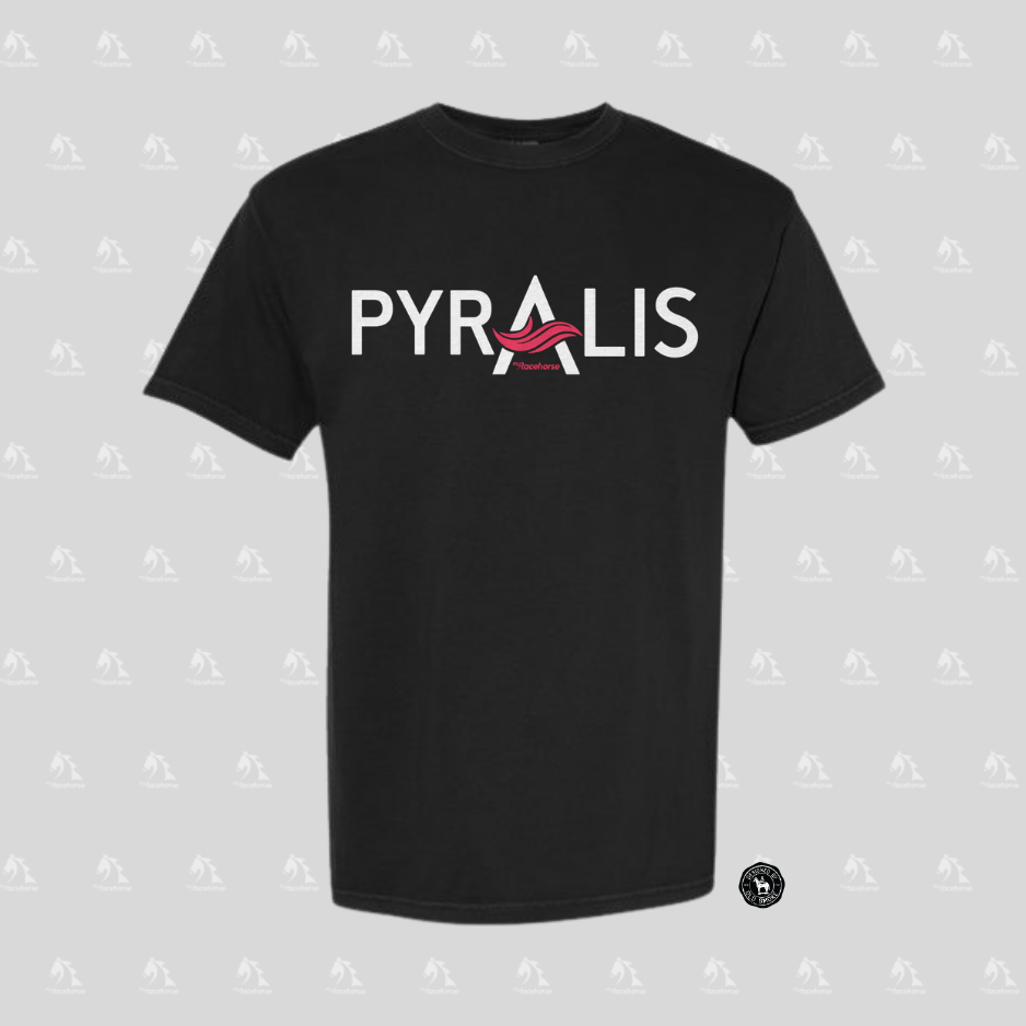 Pyralis Unisex - Comfort Colors Heavy Weight T-Shirt