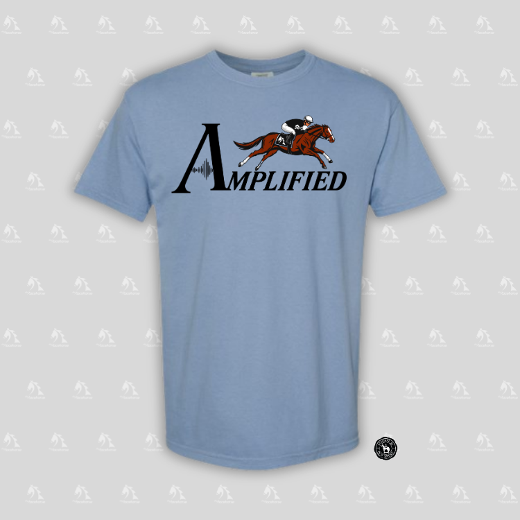 Amplified Unisex - Comfort Colors Heavy Weight T-Shirt