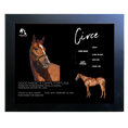 Load image into Gallery viewer, Circe Owner Photo
