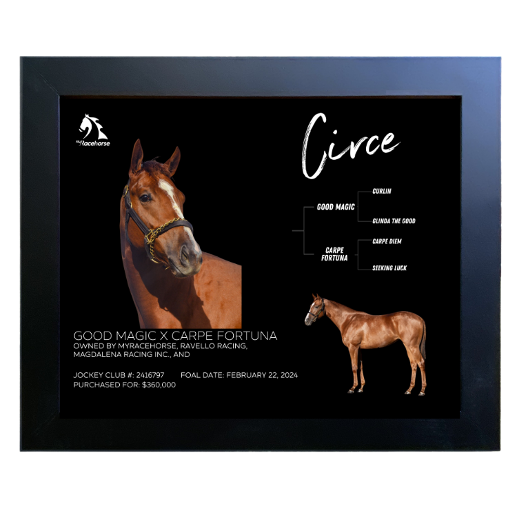 Circe Owner Photo