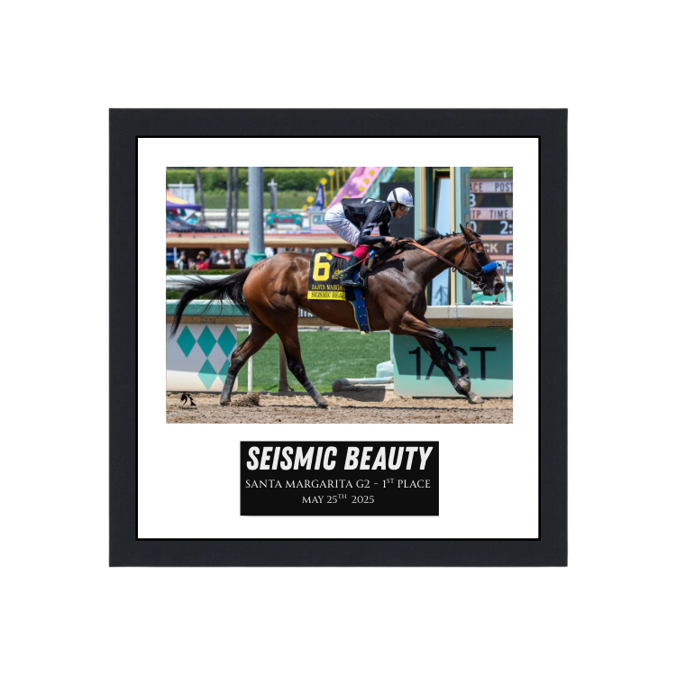 Seismic Beauty - Santa Margarita G2 Photo Frame