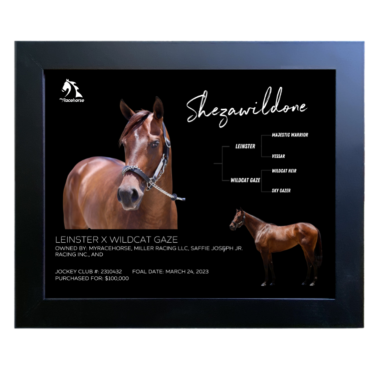 Shezawildone Owner Photo