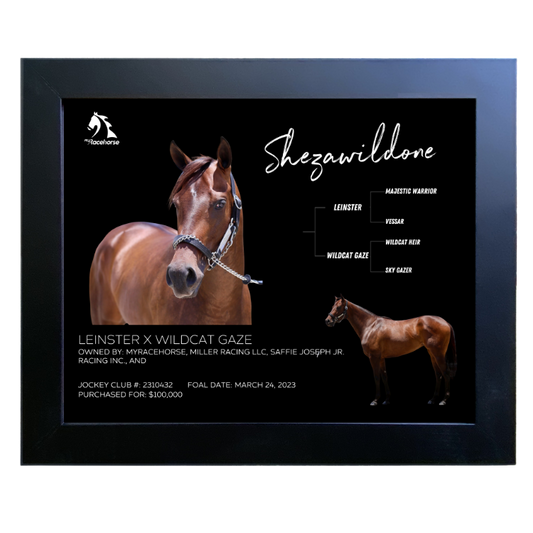 Shezawildone Owner Photo