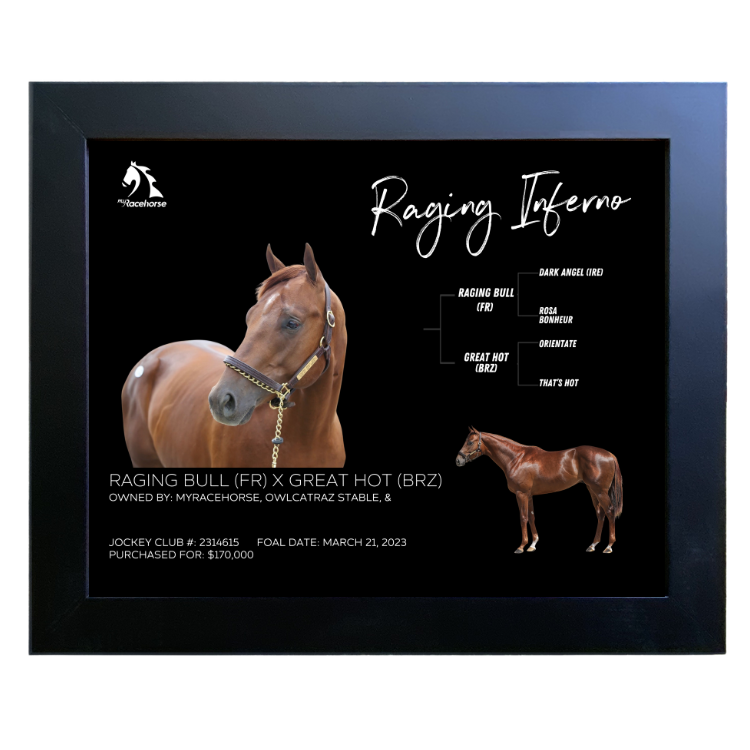 Raging Inferno Owner Photo