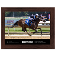 Load image into Gallery viewer, Reputation Custom Win Photo - Tyson Gilpin Stakes #2
