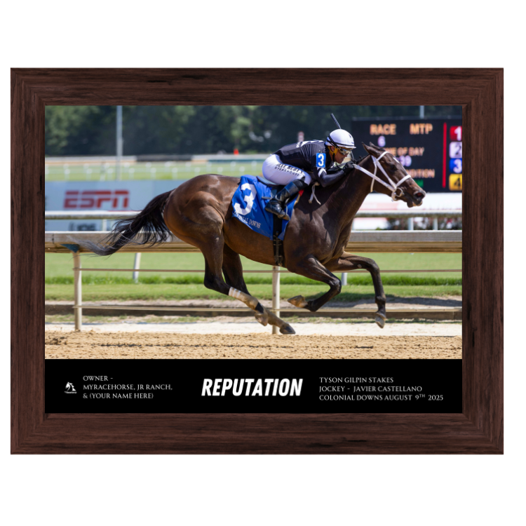 Reputation Custom Win Photo - Tyson Gilpin Stakes #2